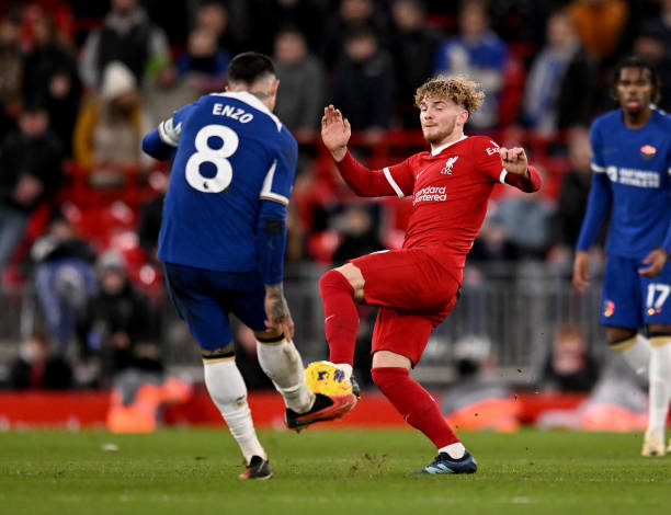 营养物质的 营养物质的