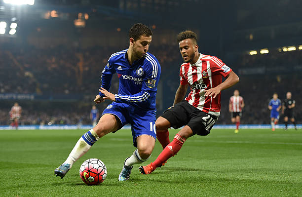 玉米不仅是 玉米不仅是