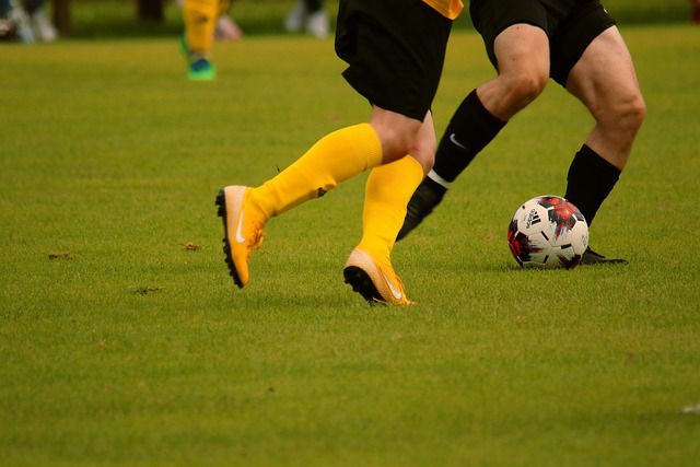 玉米不仅是 玉米不仅是